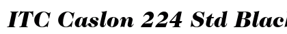 ITC Caslon 224 Std Black Italic font free download