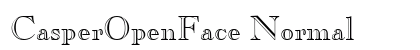 CasperOpenFace Normal Preview