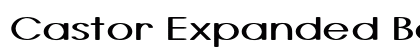 Castor Expanded Bold Preview
