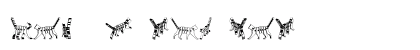 Cat 3D Regular preview Cat 3D Regular preview