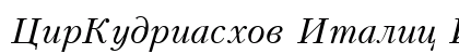 CirKudriashov Italic Italic