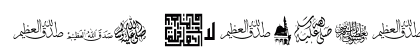 MCS P_Mohammad. Normal Preview