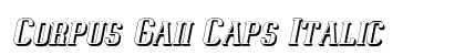 Corpus Gaii Caps Italic preview Corpus Gaii Caps Italic preview