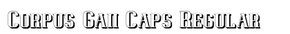 Corpus Gaii Caps Regular preview Corpus Gaii Caps Regular preview