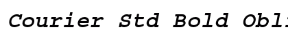 Courier Std Bold Oblique Preview