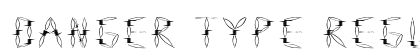 Danger Type Regular font free download