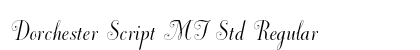Dorchester Script MT Std Regular preview Dorchester Script MT Std Regular preview