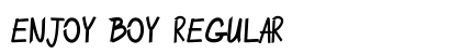 ENJOY BOY Regular font free download