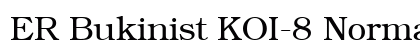 ER Bukinist KOI-8 Normal Preview