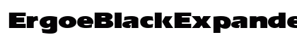 ErgoeBlackExpanded Regular Preview