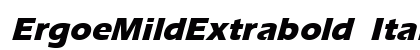 ErgoeMildExtrabold Italic Preview