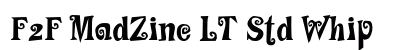 F2F MadZine LT Std Whip Preview