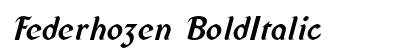 Federhozen BoldItalic Preview
