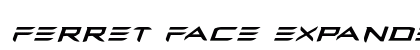 Ferret Face Expanded Italic Expanded Italic Font Preview