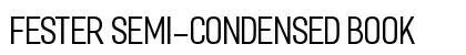 Fester Semi-condensed Book preview