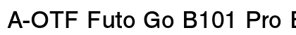 A-OTF Futo Go B101 Pro Bold font free download