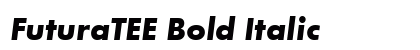 FuturaTEE Bold Italic font free download
