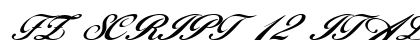 FZ SCRIPT 12 ITALIC Normal Font Preview