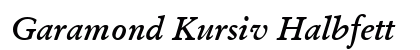 Garamond Kursiv Halbfett Preview
