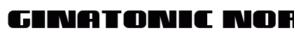 GinATonic Normal Preview