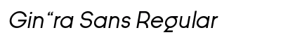 Gin￿ra Sans Regular Preview