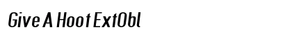 Give A Hoot ExtObl Preview
