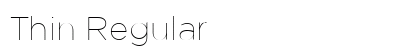 Thin Regular Preview