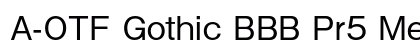 A-OTF Gothic BBB Pr5 Medium font free download