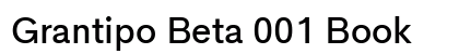 Grantipo Beta 001 Book Preview