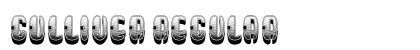 Gulliver Regular font free download