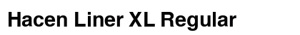 Hacen Liner XL Regular preview