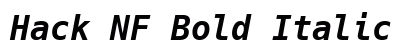 Hack NF Bold Italic Preview