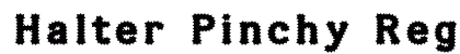 Halter Pinchy Regular Font Preview