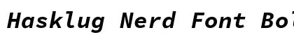 Hasklug Nerd Font Bold Italic preview Hasklug Nerd Font Bold Italic preview
