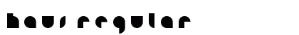 HAUS Regular preview