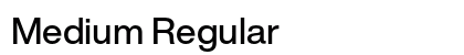 Medium Regular Preview