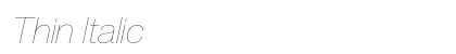 Thin Italic Preview