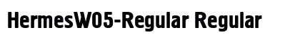 HermesW05-Regular Regular