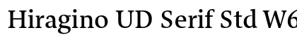 Hiragino UD Serif Std W6 font free download