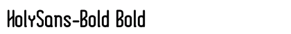 HolySans-Bold Bold