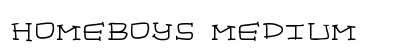 homeboys Medium font free download
