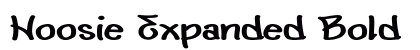 Hoosie Expanded Bold Preview