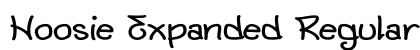 Hoosie Expanded Regular Preview