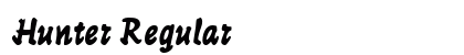 Hunter Regular font free download