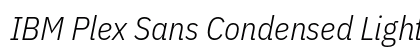 IBM Plex Sans Condensed Light Italic Preview