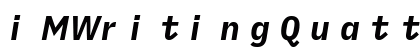 iMWritingQuattroS NF Bold Italic preview