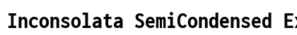 Inconsolata SemiCondensed ExtraBold Regular preview Inconsolata SemiCondensed ExtraBold Regular preview