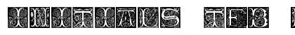 Initials TFB Regular preview