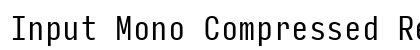 Input Mono Compressed Regular Preview