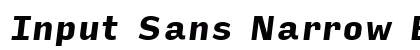 Input Sans Narrow Black Italic font free download